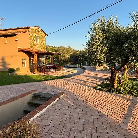Calema Vinci